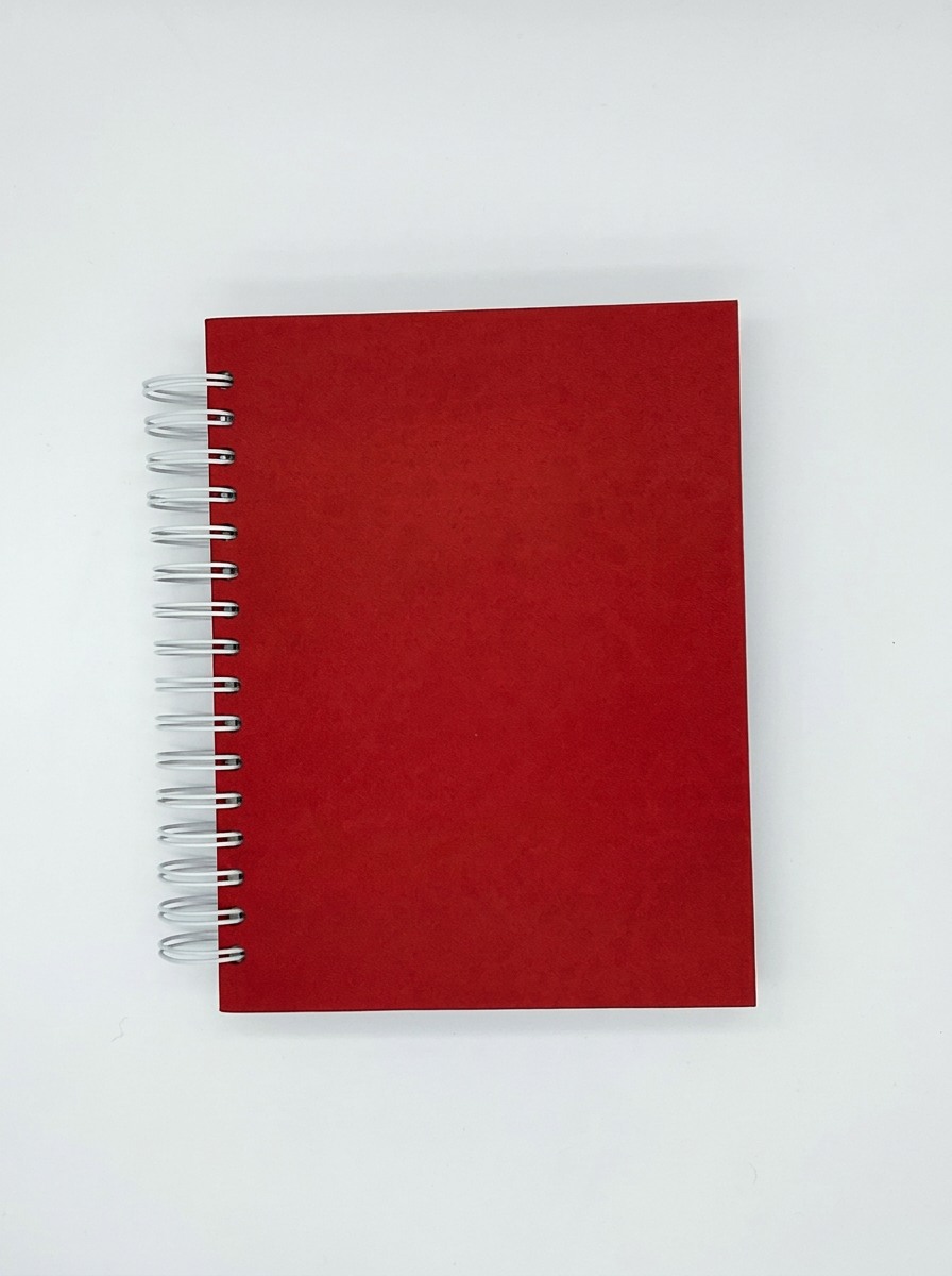 Agenda Día x día